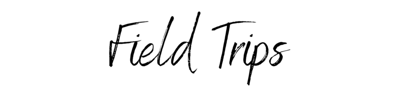 Field Trips